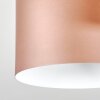Fessade Plafondlamp Beige, Bruin, Brons, 3-lichts