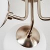 Cabalonga Plafondlamp Nikkel mat, 3-lichts