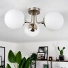 Cabalonga Plafondlamp Nikkel mat, 3-lichts