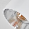 Tibro Plafondlamp Nikkel mat, Wit, 1-licht