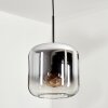 Lauden Hanger Glas 25cm Chroom, Duidelijk, Rookkleurig, 1-licht