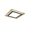 Trio MORGAN Plafondlamp LED Goud, Zwart, 1-licht, Afstandsbediening