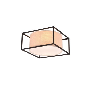 Trio Ross Plafondlamp Zwart, 2-lichts