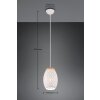 Reality BIDAR Hanglamp Natuurlijke kleuren, Wit, 1-licht