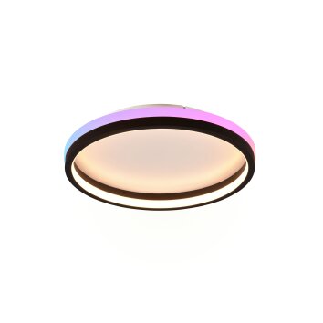 Reality HIKO Plafondlamp LED Zwart, 2-lichts, Afstandsbediening