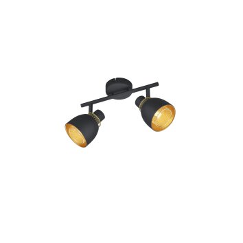 Reality Punch Plafondlamp Goud, Zwart, 2-lichts