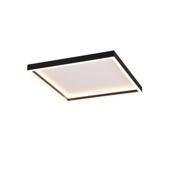 Reality Rotonda Plafondlamp LED Zwart, 1-licht