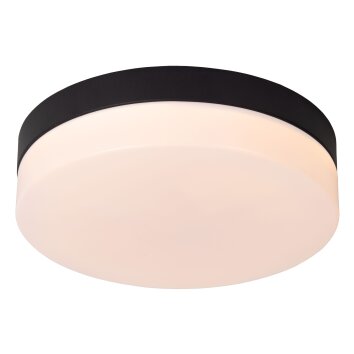 Lucide BISKIT Plafondlamp LED Zwart, 1-licht, Bewegingsmelder