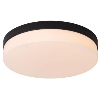 Lucide BISKIT Plafondlamp LED Zwart, 1-licht, Bewegingsmelder