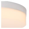 Lucide BISKIT Plafondlamp LED Wit, 1-licht, Bewegingsmelder