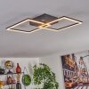 Obo Plafondlamp LED Zwart, 1-licht