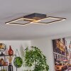 Obo Plafondlamp LED Zwart, 1-licht
