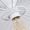 Cacor Plafondlamp Wit, 1-licht