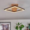Cascada Plafondlamp Bruin, houtlook, Zwart, 1-licht