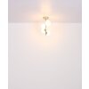 Globo RIHA Plafondlamp LED Nikkel mat, 4-lichts
