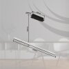 Globo DENTSY Hanger LED Zwart, 1-licht