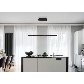 Globo DENTSY Hanger LED Zwart, 1-licht