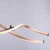 Paul Neuhaus POLINA Hanglamp LED Zwart, 1-licht