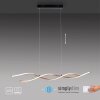 Paul Neuhaus POLINA Hanglamp LED Zwart, 1-licht