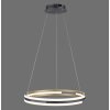 Paul Neuhaus Q-BELUGA Hanglamp LED Goud, 1-licht, Afstandsbediening