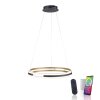 Paul Neuhaus Q-BELUGA Hanglamp LED Goud, 1-licht, Afstandsbediening
