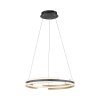 Paul Neuhaus Q-BELUGA Hanglamp LED Goud, 1-licht, Afstandsbediening