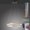 Paul Neuhaus Q-BELUGA Hanglamp LED Goud, 1-licht, Afstandsbediening