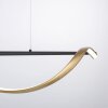 Paul Neuhaus Q-SWING Hanglamp LED Antraciet, Goud, 1-licht, Afstandsbediening