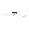 Paul Neuhaus Q-SWING Plafondlamp LED Antraciet, Goud, 1-licht, Afstandsbediening