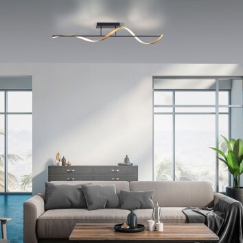Paul Neuhaus Q-SWING Plafondlamp LED Antraciet, Goud, 1-licht, Afstandsbediening