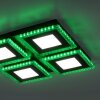Leuchten-Direkt ACRI Plafondlamp LED Zwart, 2-lichts, Afstandsbediening