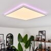 Hotinhas Plafondpaneel LED Wit, 1-licht, Afstandsbediening, Kleurwisselaar