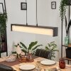 Siders Hanglamp LED Zwart, 1-licht, Kleurwisselaar