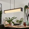 Siders Hanglamp LED Zwart, 1-licht, Kleurwisselaar