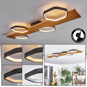 Arminda Plafondlamp LED Natuurlijke kleuren, Zwart, 1-licht