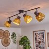 Barayn Plafondlamp Zwart, 4-lichts