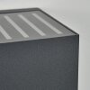 Barrero Buiten muurverlichting LED Antraciet, 1-licht