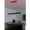 Eglo ANDREAS-Z Hanger LED Zwart, 2-lichts, Kleurwisselaar
