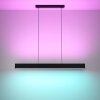 Eglo ANDREAS-Z Hanger LED Zwart, 2-lichts, Kleurwisselaar