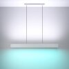 Eglo ANDREAS-Z Hanger LED Grijs, 2-lichts, Kleurwisselaar