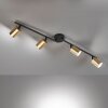 Fischer & Honsel Vano Plafondlamp LED Zwart, 4-lichts