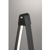 Fischer & Honsel Fenga Staande lamp LED Zwart, 1-licht