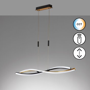 Fischer & Honsel Torcido Hanglamp LED Zwart, 1-licht, Afstandsbediening