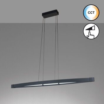 Fischer & Honsel Fenga Hanglamp LED Zwart, 1-licht