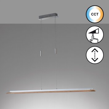 Fischer & Honsel SHINE-WOOD Hanglamp LED Nikkel mat, 1-licht