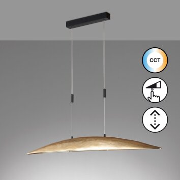 Fischer & Honsel Colmar Hanglamp LED Zwart, 6-lichts
