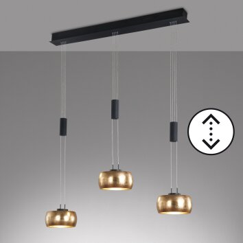 Fischer & Honsel Colette Hanglamp LED Zwart, 3-lichts
