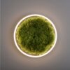 JUST LIGHT GERDA RITUS Plafondlamp LED Zwart, 1-licht