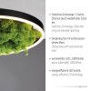 JUST LIGHT GERDA RITUS Plafondlamp LED Zwart, 1-licht