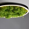 Leuchten-Direkt GREEN RITUS Plafondlamp LED Zwart, 1-licht